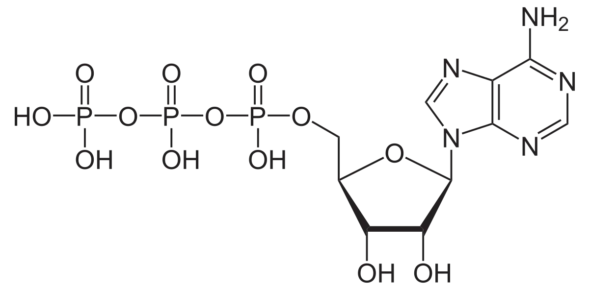 bioshop-atp007-stoklab.png D-Fructose, Reagent Grade, >99%, 500G | BioShop FRC180