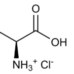 L-Cysteine, HCL Monohydrate, 25G | BioShop CYS342