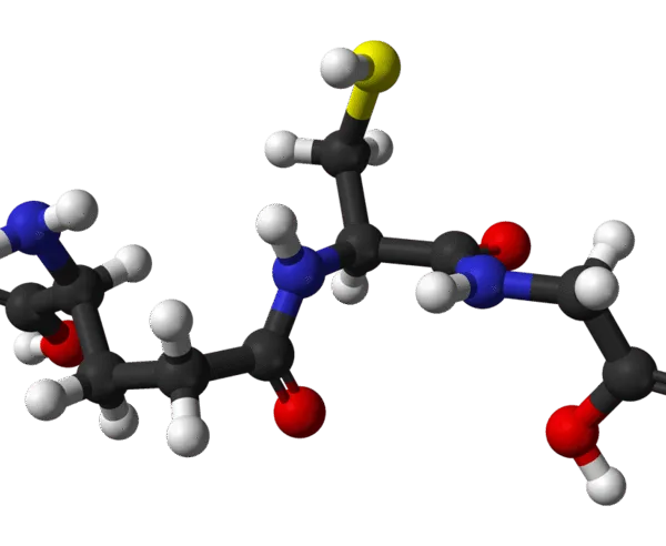Glutathione, Biotechnology Grade, min 99%, 250G | BioShop GTH002