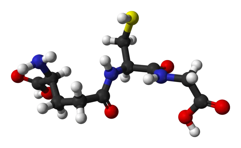 bioshop-gth001-stoklab.png Glutathione, Biotechnology Grade, min 99%, 250G | BioShop GTH002