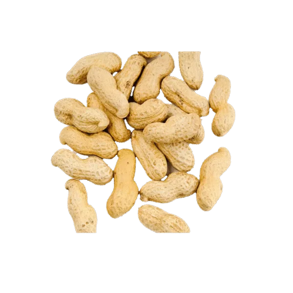 Allergen Strip Test Agrastrip® Fıstık - 1 Kutu 10 Test