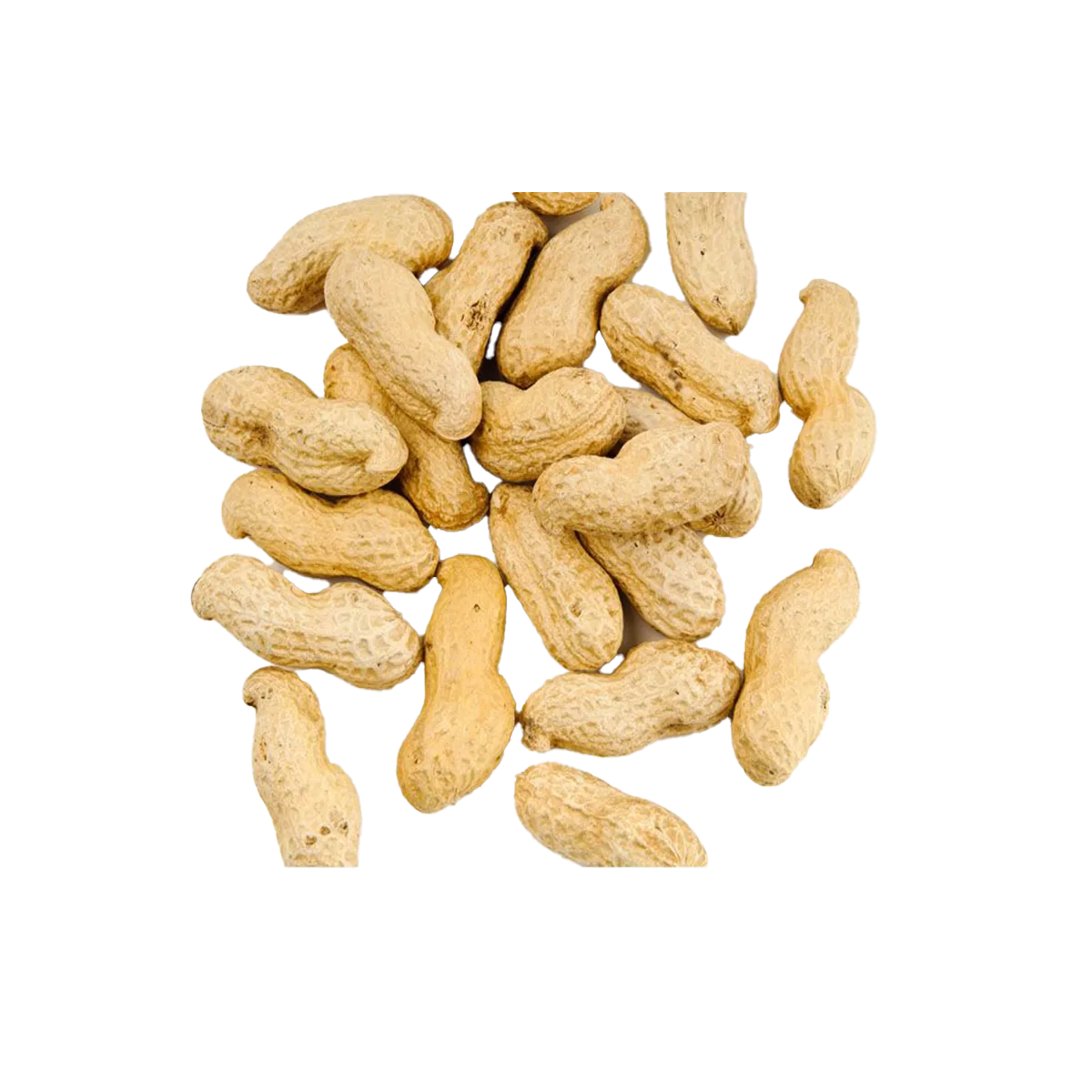fistik Allergen Strip Test Agrastrip® Fıstık - 1 Kutu 10 Test