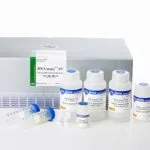iNtRON Biotechnology 17253 DNA-maxi™ SV Plasmid DNA Purification Kit