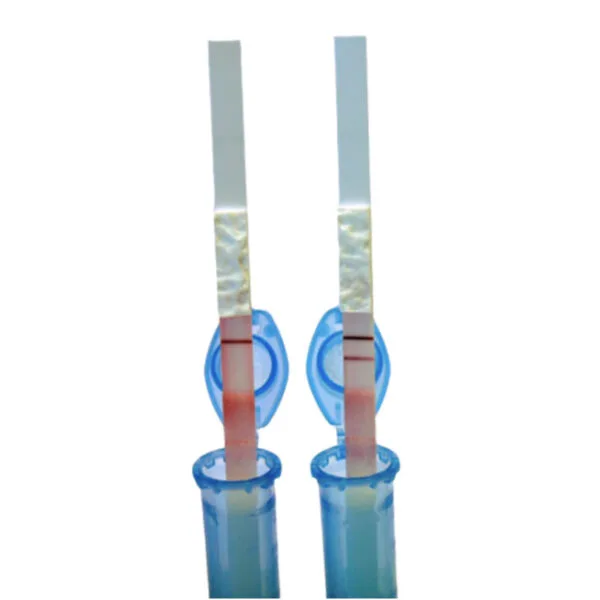Aflatoksin Strip Test Agrastrip® Afla FUM - 1 Kutu 24 Adet
