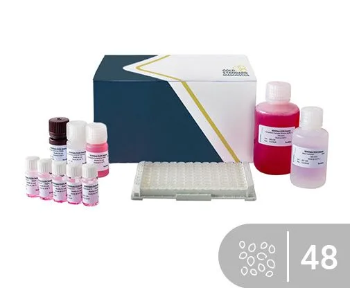 Susam ELISA kiti SENSISpec 48 kuyucuk