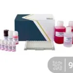 Susam ELISA kiti SENSISpec 96 kuyucuk